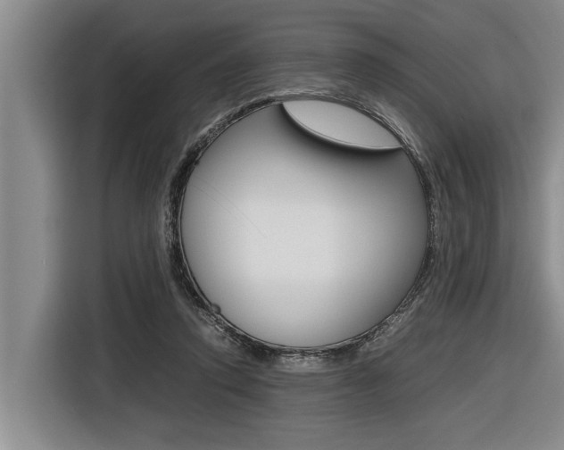 X0000116560354200912100948