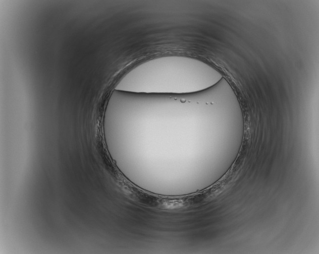 X0000116560355200912100948