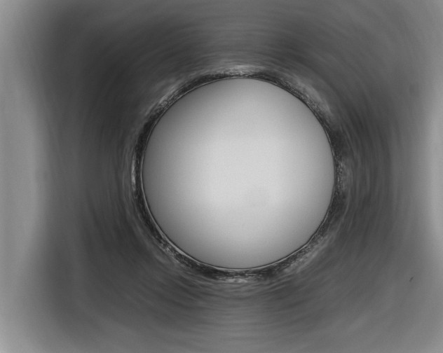 X0000116560358200912100948