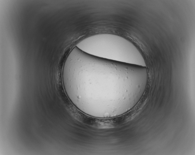 X0000116560359200912100948