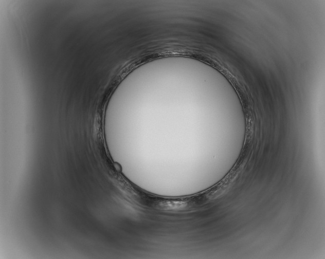 X0000116560361200912100948