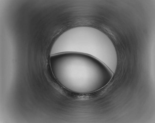 X0000116560362200912100948