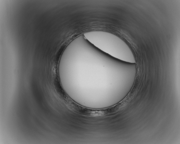 X0000116560363200912100948