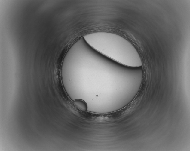 X0000116560366200912100948