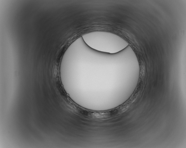 X0000116560367200912100948