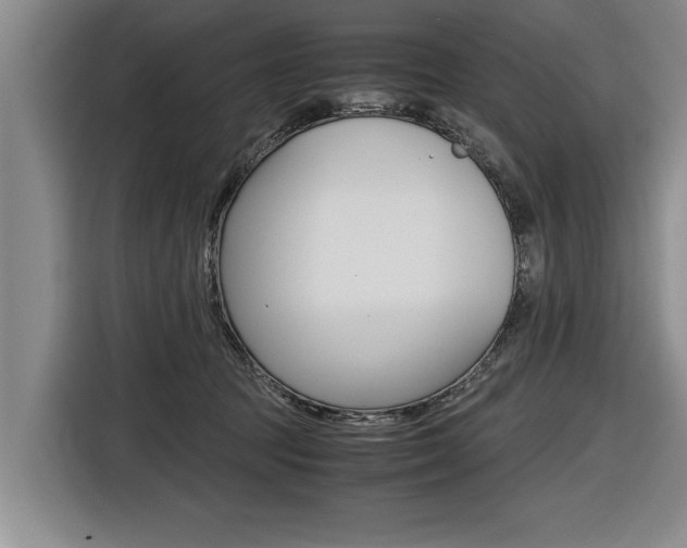 X0000116560369200912100948