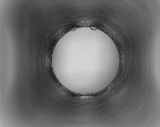 X0000116560371200912100948