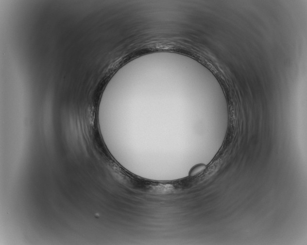 X0000116560374200912100948