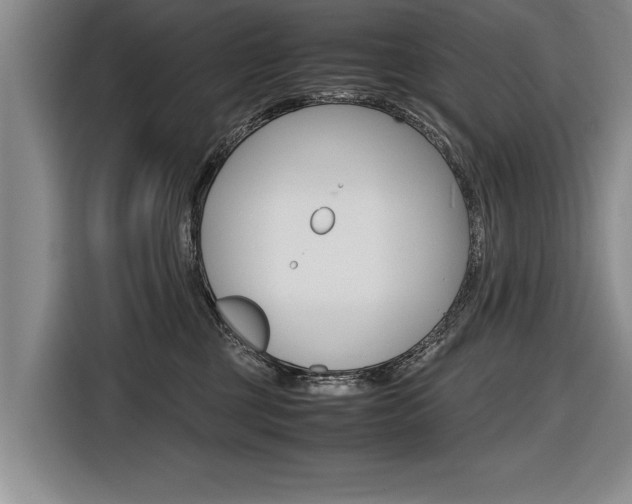 X0000116560377200912100948