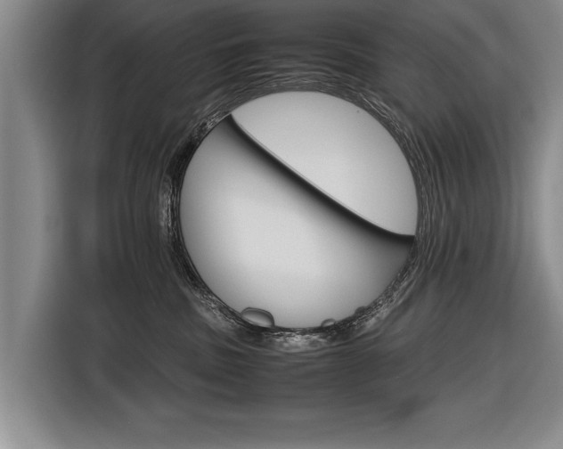 X0000116560379200912100948