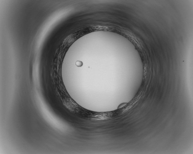 X0000116560381200912100948