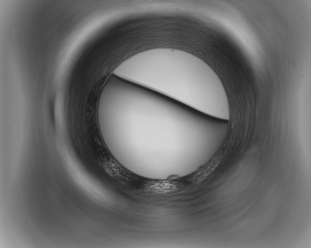 X0000116560383200912100948