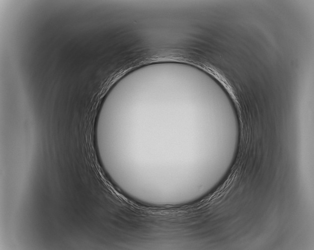 X0000116560385200912100948