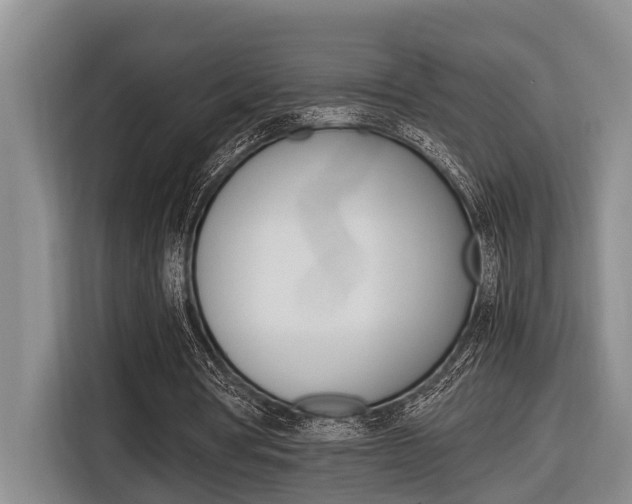 X0000116560386200912100948