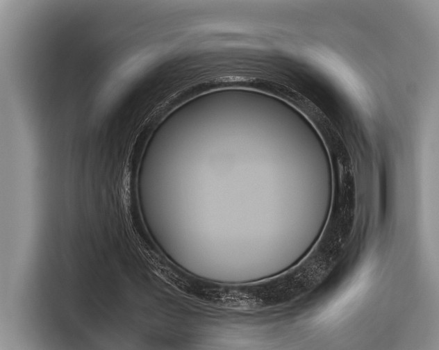 X0000116560387200912100948
