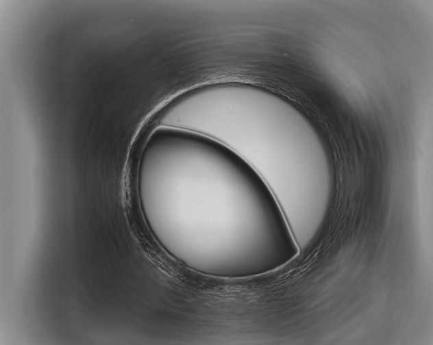 X0000116560388200912100948