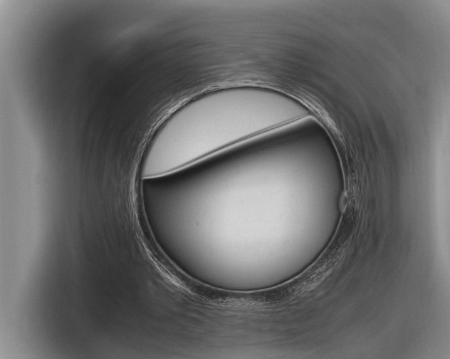X0000116560389200912100948
