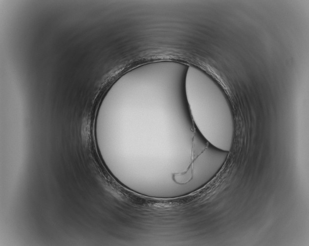 X0000116560394200912100947