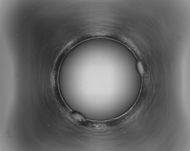 X0000116560395200912100947