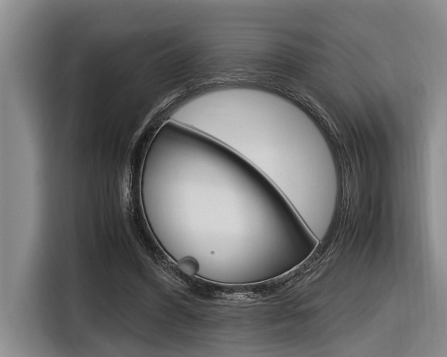 X0000116560396200912100947