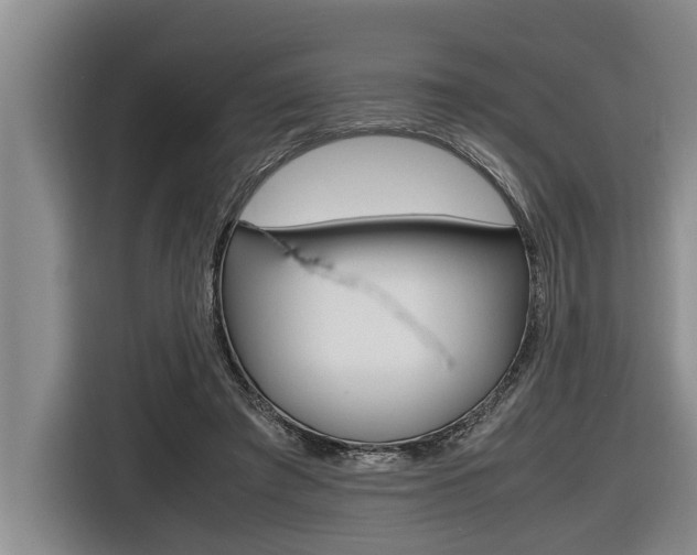 X0000116560401200912100947