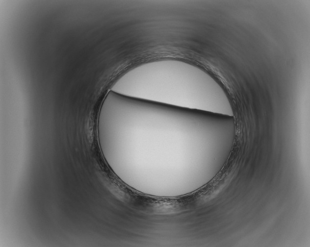 X0000116560402200912100947