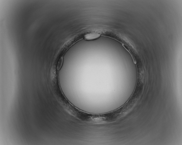 X0000116560407200912100947