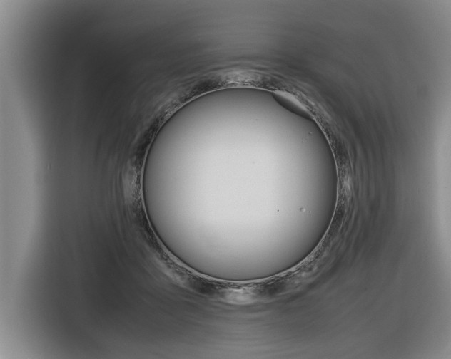 X0000116560411200912100947