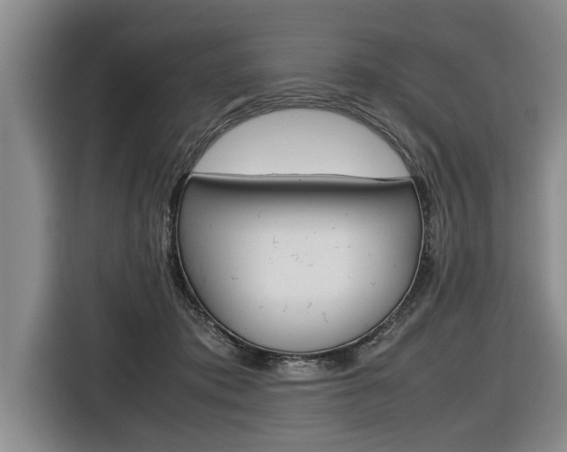 X0000116560413200912100947