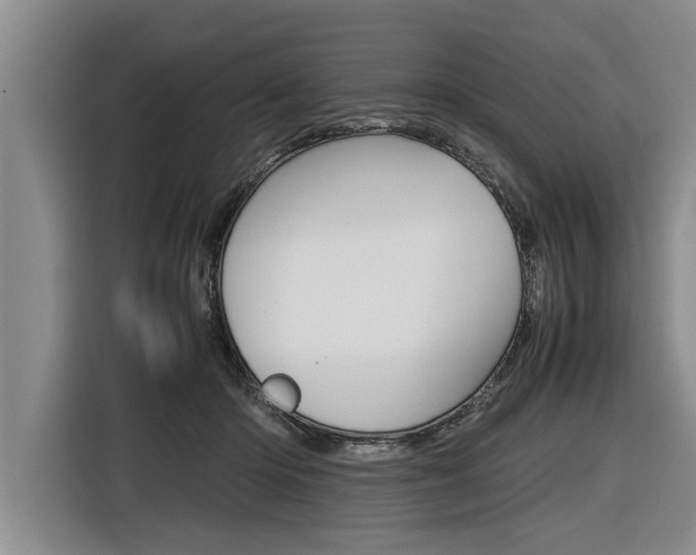 X0000116560414200912100947