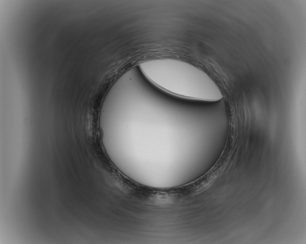 X0000116560416200912100947