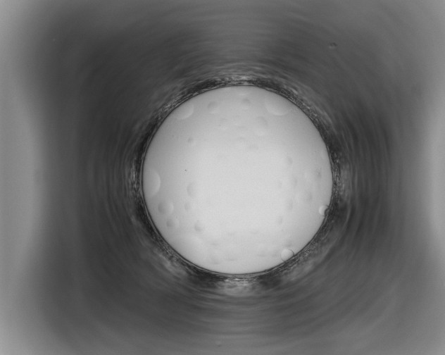 X0000116560418200912100947