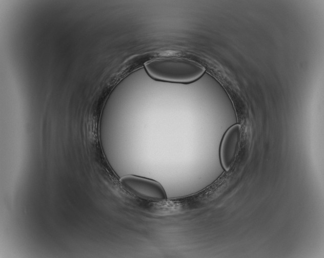 X0000116560421200912100947