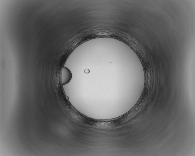 X0000116560422200912100947