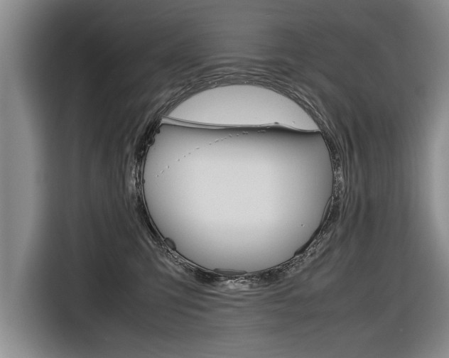 X0000116560423200912100947