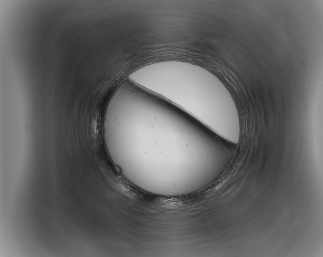 X0000116560424200912100947