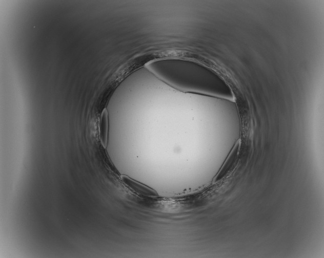 X0000116560425200912100947