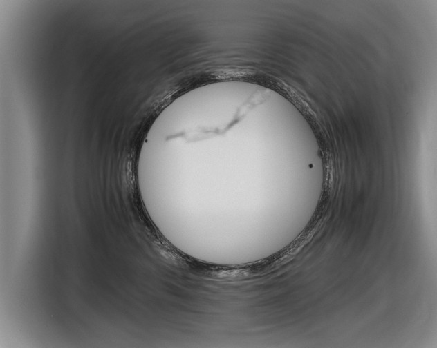 X0000116560426200912100947