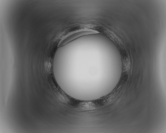 X0000116560427200912100947
