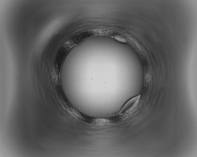 X0000116560429200912100947