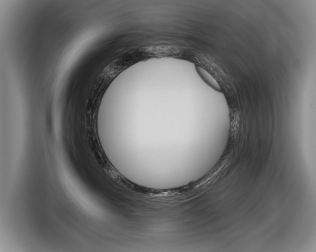 X0000116560430200912100947