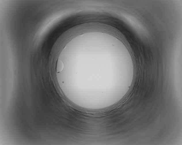 X0000116560431200912100947