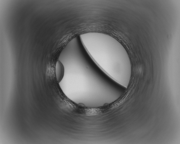 X0000116560432200912100947