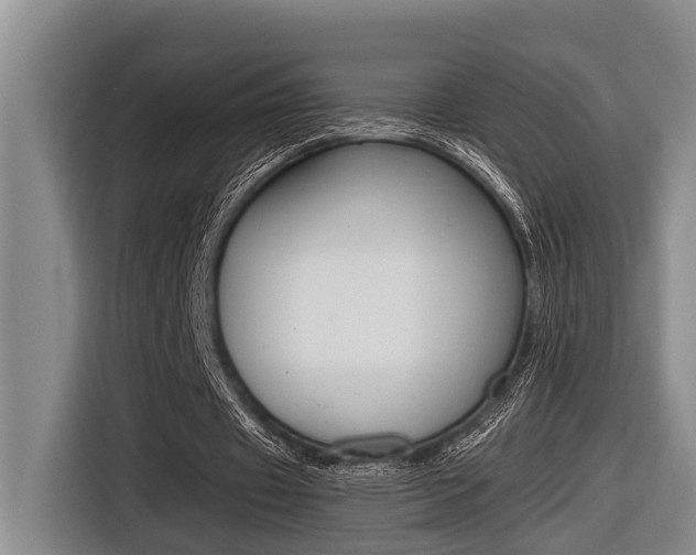 X0000116560433200912100946