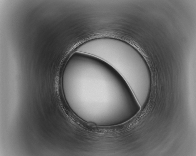 X0000116560434200912100946