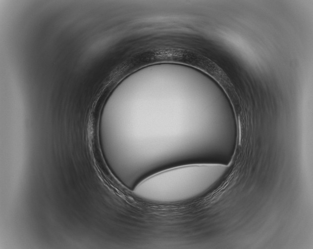 X0000116560435200912100946