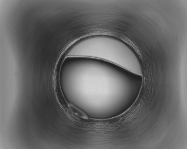 X0000116560436200912100946