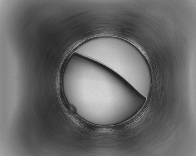X0000116560437200912100946