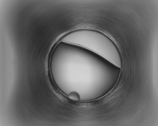 X0000116560438200912100946