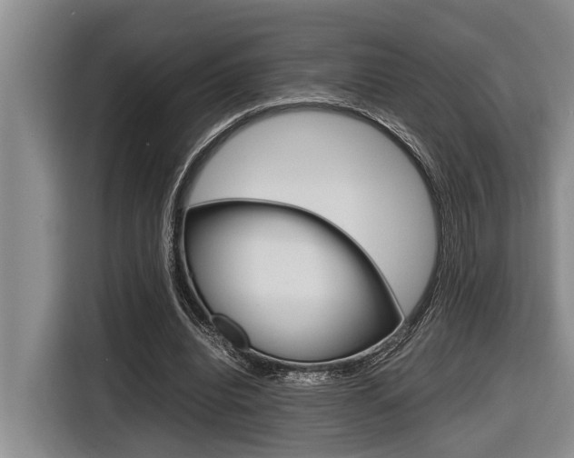 X0000116560440200912100946